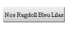 Nos Ragdoll Bleu