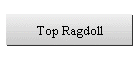 Top Ragdoll